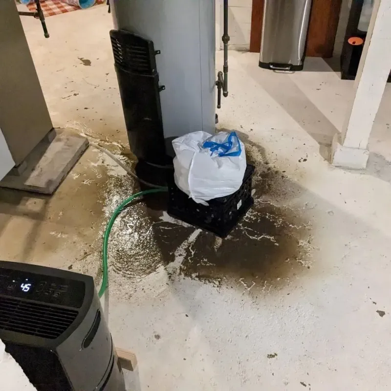 Sewage Backup Cleanup Service in Rydal, GA